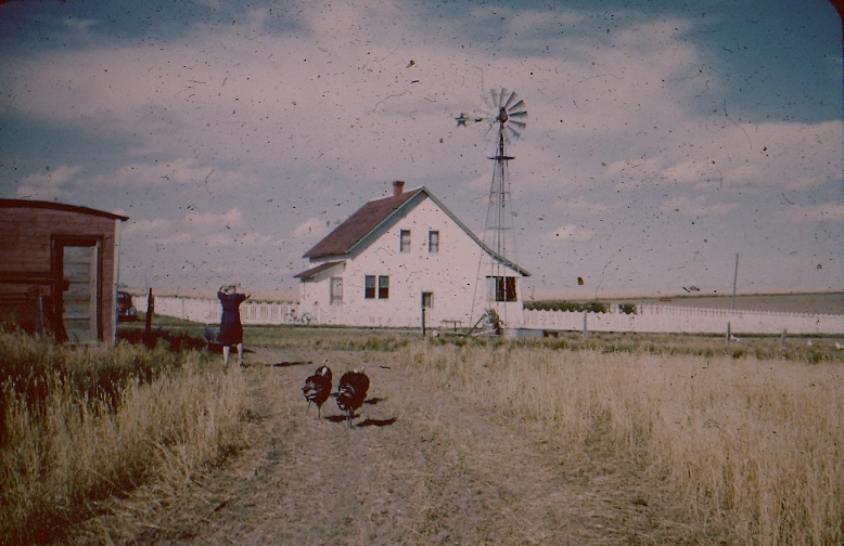 1954 Thompson farm 1